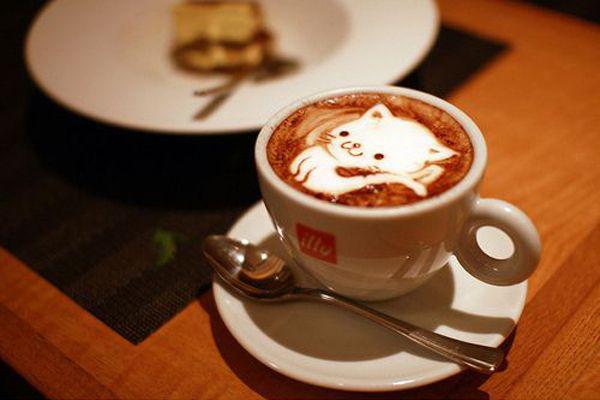 รูปภาพ:http://www.bitrebels.com/wp-content/uploads/2012/02/Cat-Coffee-Art-Caturday-7.jpg