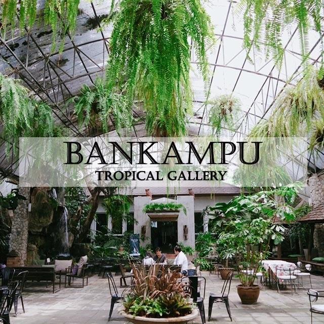 ภาพประกอบบทความ จิบกาแฟชิลล์ๆ ใต้ร่มเงาไม้ ที่ 'Bankampu Tropical Gallery'