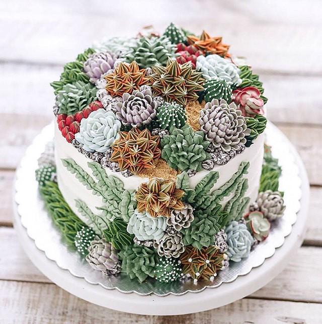 รูปภาพ:http://static.boredpanda.com/blog/wp-content/uploads/2017/03/succulent-terrarium-cakes-cupcakes-ivenoven-6-58da6f1658adb__700.jpg