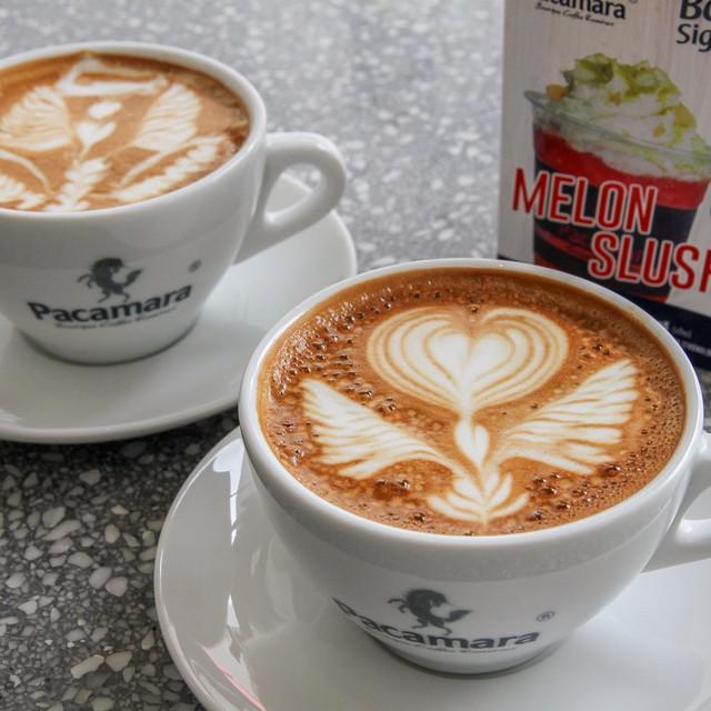 ภาพประกอบบทความ ชวนสาวๆ ไปจิบกาแฟคุณภาพดีที่คาเฟ่สุดเก๋ย่านทองหล่อ 'Pacamara Coffee Roasters'