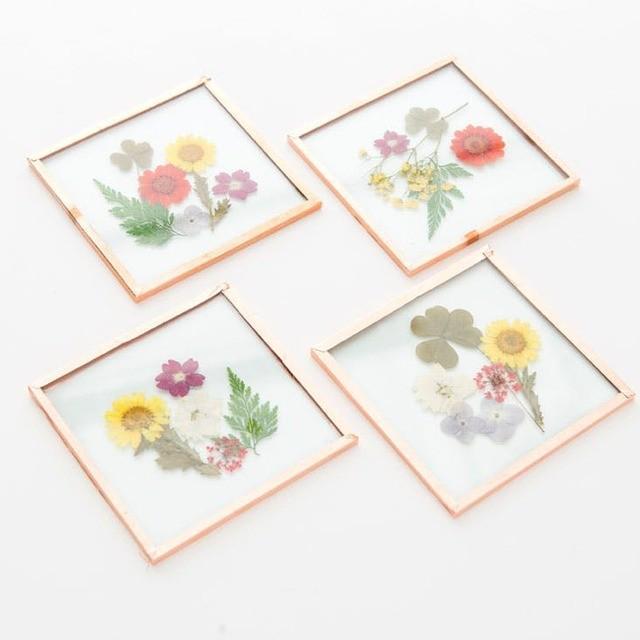 ภาพประกอบบทความ DIY Pressed flower coasters ที่รองแก้วดอกไม้แห้ง สวยหรูดูแพงแบบประหยัดตังค์