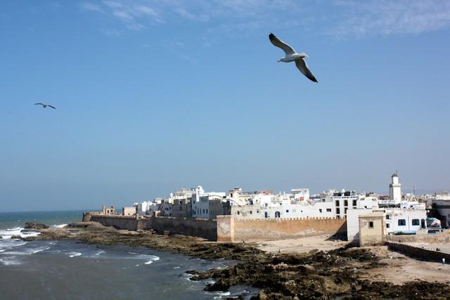 รูปภาพ:http://cdn.touropia.com/gfx/d/tourist-attractions-in-morocco/essaouira.jpg?v=d472ba87bf44b363afaa3855f9ac6b29
