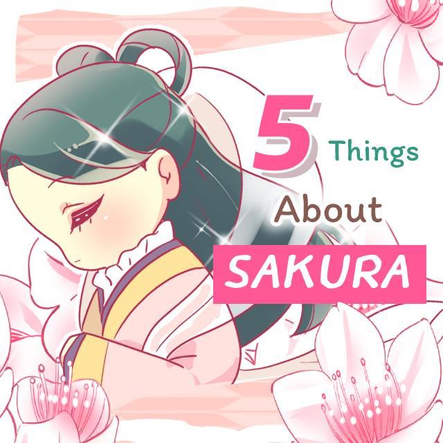 ภาพประกอบบทความ 5 ข้อควรรู้ ‘ซากุระ’ และ ‘เทศกาลชมดอกไม้’มาจากไหนนะ?