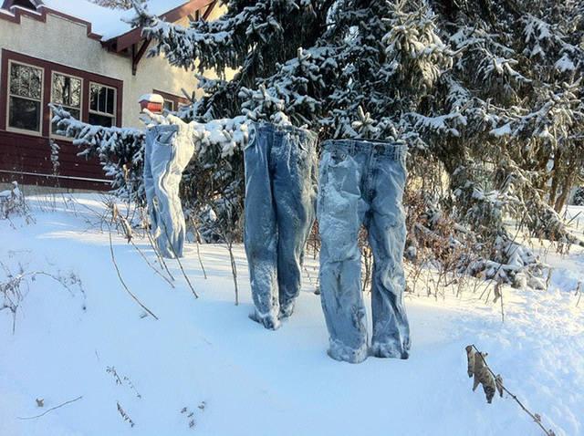 รูปภาพ:http://static.boredpanda.com/blog/wp-content/uploads/2016/01/frozen-pants-jeans-cold-winter-minnesota-6.jpg