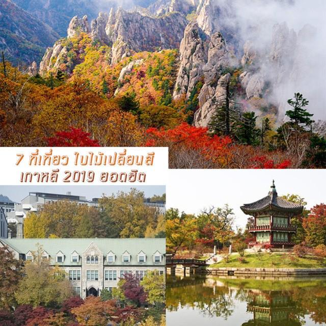 ภาพประกอบบทความ เช็คอินรัวๆ กับ " 7 ที่เที่ยว ใบไม้เปลี่ยนสี เกาหลี 2019 " ยอดฮิต! ถ่ายรูปลง IG ได้รัวๆ