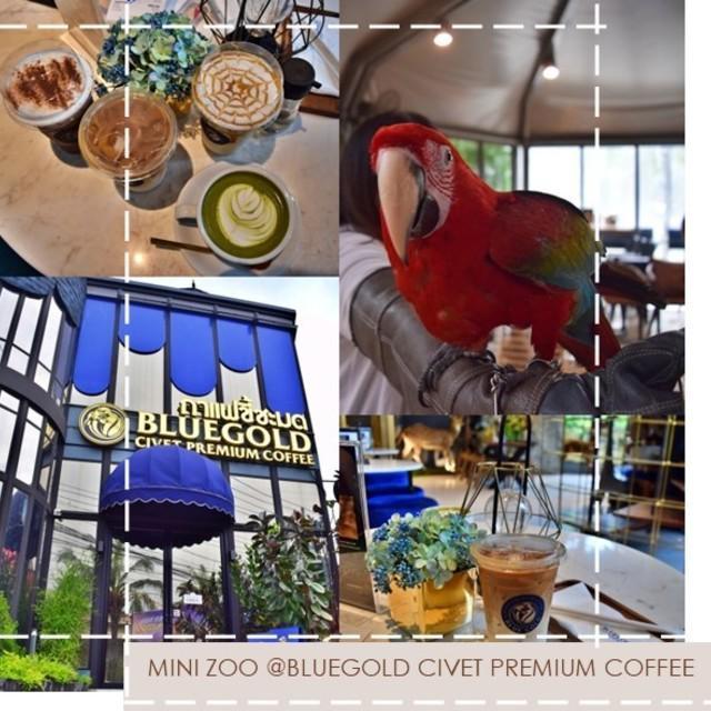 ภาพประกอบบทความ เที่ยว Minizoo ย่านเลียบด่วน ณ Bluegold Civet Premium Coffee ไปกับเที่ยวเกิ๊น😉