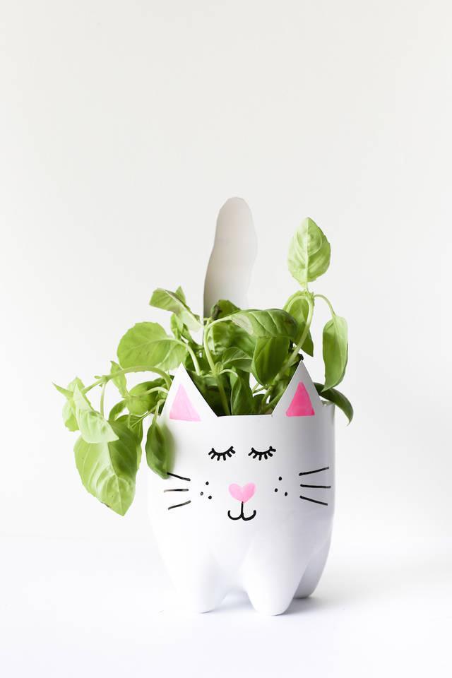รูปภาพ:http://www.saltycanary.com/wp-content/uploads/2016/03/DIY-Kitty-Cat-Soda-Bottle-Planter-Salty-Canary-22-of-35-copy.jpg
