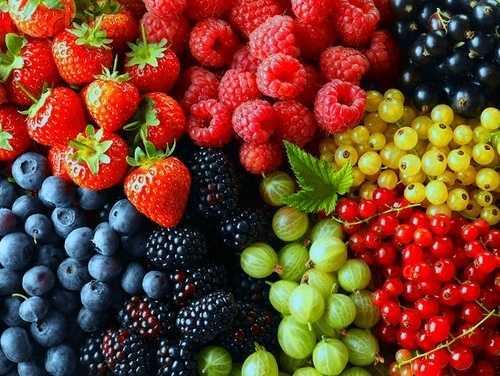 รูปภาพ:http://s9.favim.com/orig/130721/berry-colors-fruit-nice-pretty-strawberry-summer-yummy-Favim.com-792770.jpg