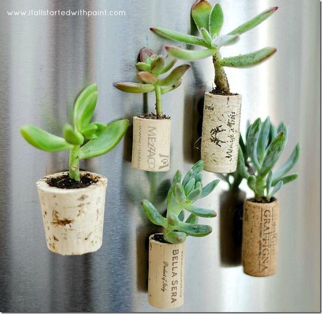 รูปภาพ:http://www.itallstartedwithpaint.com/wp-content/uploads/2013/05/wine-cork-magnet-planters-tutorial-how-to_thumb.jpg