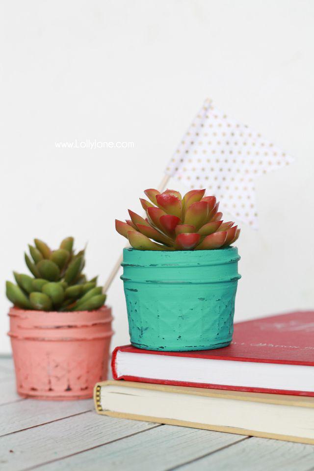 รูปภาพ:http://cf.lollyjane.com/wp-content/uploads/2015/02/13-14586-post/DIY-Valentine-Painted-Potted-Plastic-Succulents.jpg