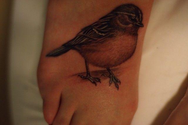 รูปภาพ:https://www.askideas.com/media/48/Black-And-Grey-Bird-Tattoo-Design-For-Foot.jpg