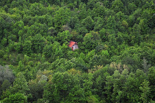 รูปภาพ:http://static.boredpanda.com/blog/wp-content/uploads/2016/06/cozy-cabins-in-the-woods-42-575fd14baee42__880.jpg