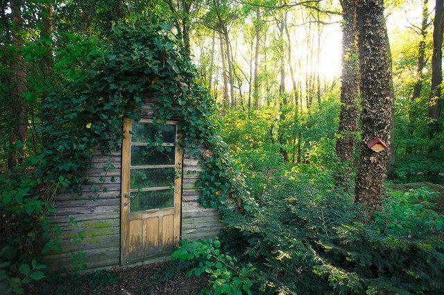 รูปภาพ:http://static.boredpanda.com/blog/wp-content/uploads/2016/06/cozy-cabins-in-the-woods-575fbd3eaa0db__880.jpg