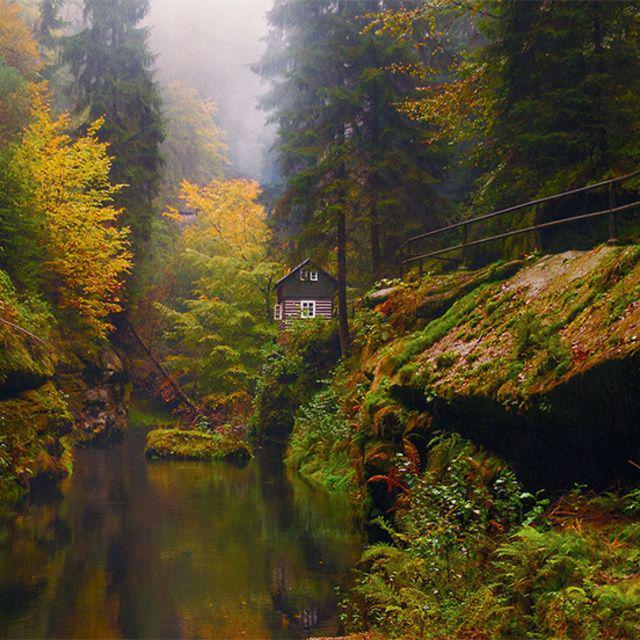 ตัวอย่าง ภาพหน้าปก:40 ไอเดีย 'บ้านน้อยในป่าใหญ่' สงบ เงียบ และสวยงาม