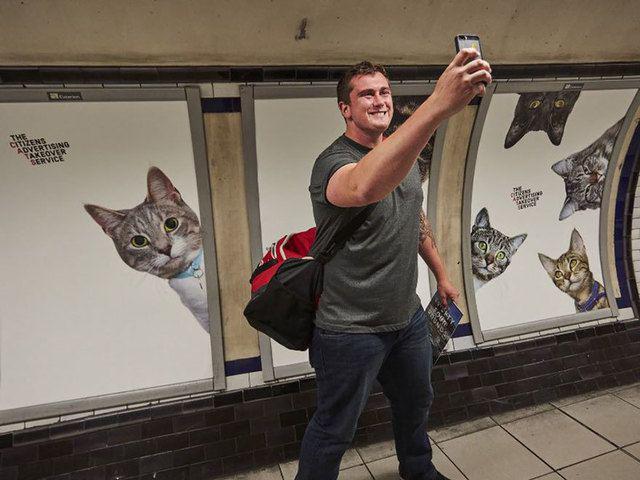 รูปภาพ:http://static.boredpanda.com/blog/wp-content/uploads/2016/09/cat-ads-underground-subway-metro-london-8.jpg