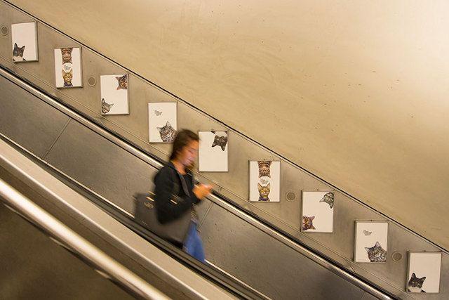 รูปภาพ:http://static.boredpanda.com/blog/wp-content/uploads/2016/09/cat-ads-underground-subway-metro-london-9.jpg