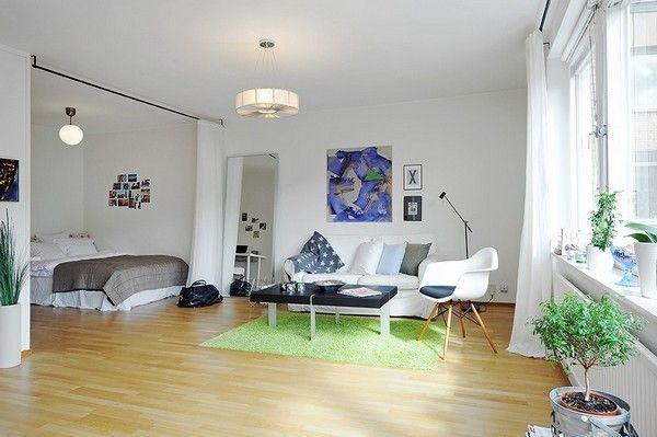 รูปภาพ:http://cdn.homedit.com/wp-content/uploads/2014/01/one-room-apartment-scandinavian.jpg