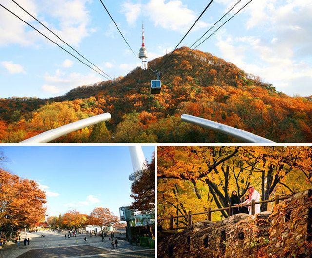 รูปภาพ:http://tong.visitkorea.or.kr/img/vk/enu/cms/content/31/261031_1_48.jpg