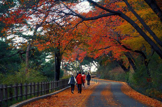 รูปภาพ:https://amkortravel.files.wordpress.com/2016/06/namsan-tower-park-seoul-autumn-leaves-hhwt.jpg?w=775