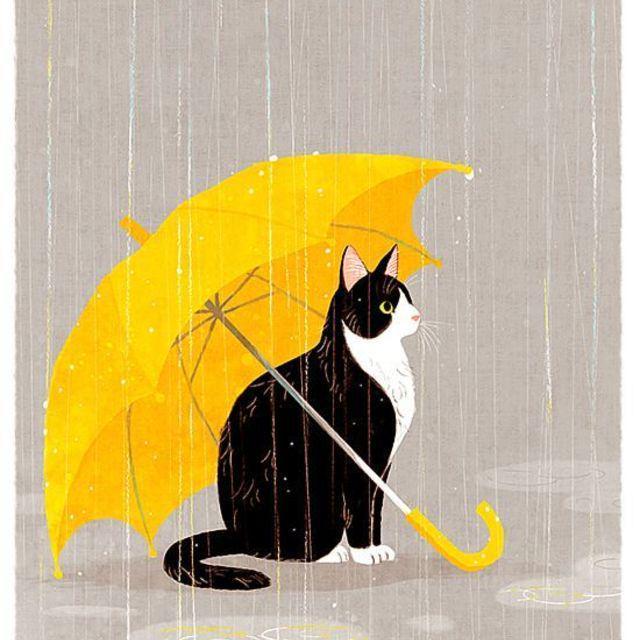 ภาพประกอบบทความ ร่มกันฝนลายน้องแมวสุดน่ารัก กางทีไรน่ารักทูกที 