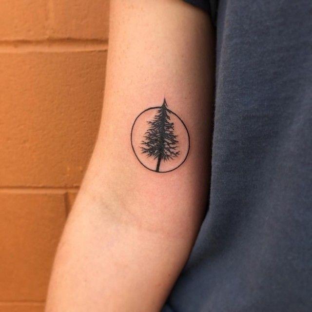 รูปภาพ:http://tattoo-journal.com/wp-content/uploads/2015/09/pine-tree-tattoo-33-650x650.jpg