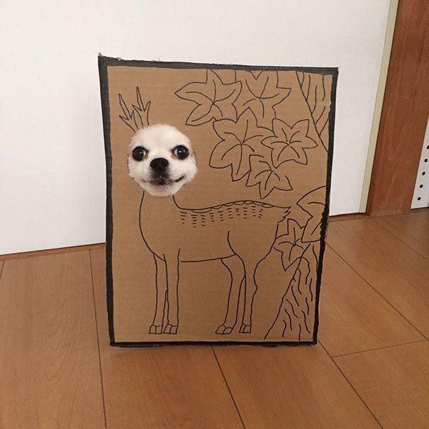 รูปภาพ:http://static.boredpanda.com/blog/wp-content/uploads/2016/10/dog-costume-cardboard-cutouts-myouonnin-39-580f5440526b9__605.jpg