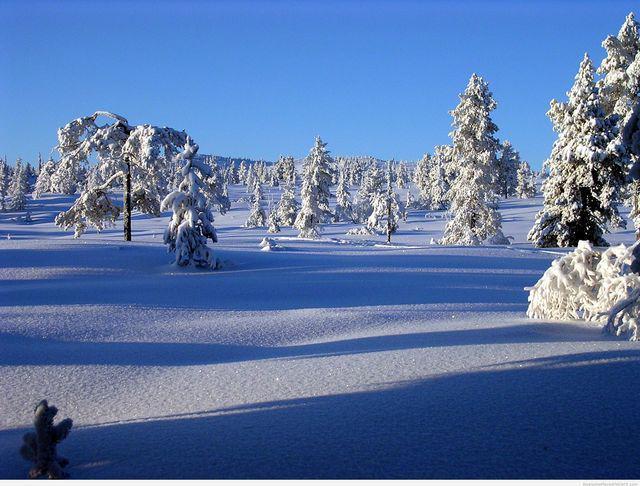 รูปภาพ:http://pintast.com/wp-content/uploads/2014/09/winter-at-buskerud-fylke-norway-winter-places-to-visit-1410360354ng4k8.jpg