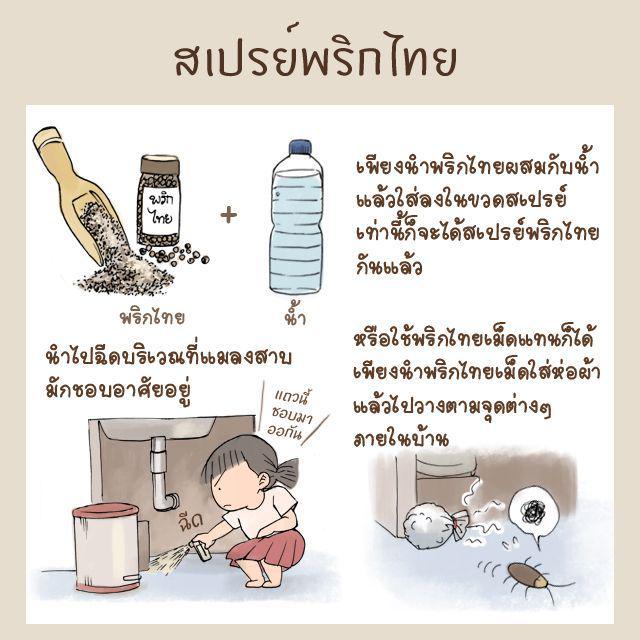 รูปภาพ: