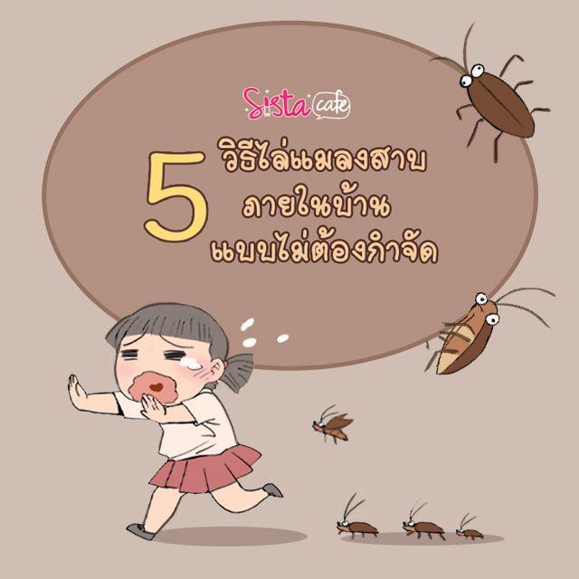 ตัวอย่าง ภาพหน้าปก:5 วิธีไล่แมลงสาบภายในบ้านแบบไม่ต้องกำจัด