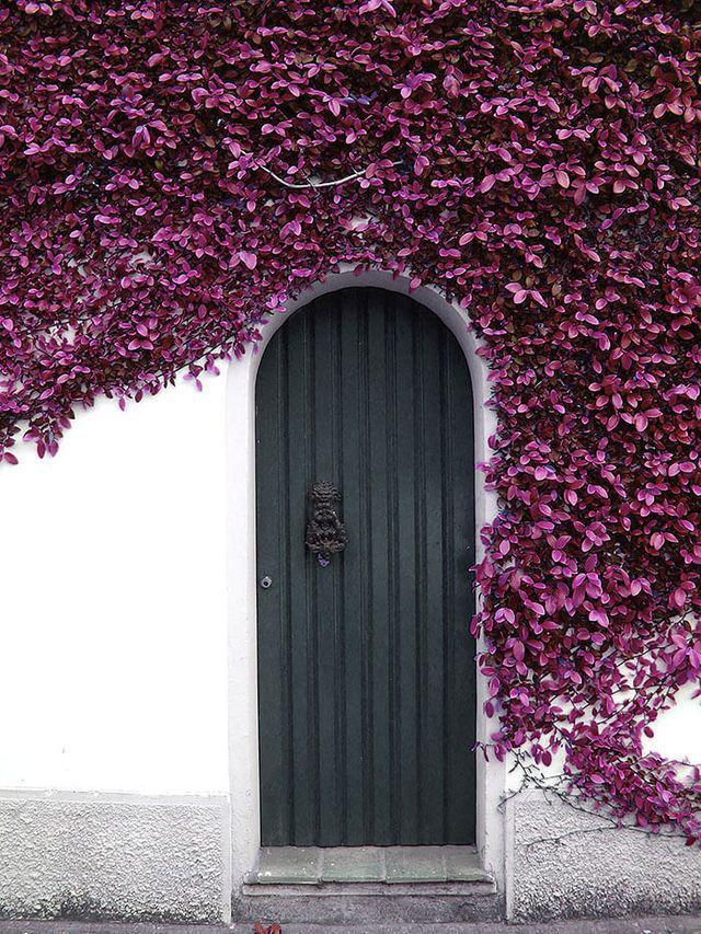 รูปภาพ:http://theawesomedaily.com/wp-content/uploads/2016/10/beautiful-doors-11-1.jpg