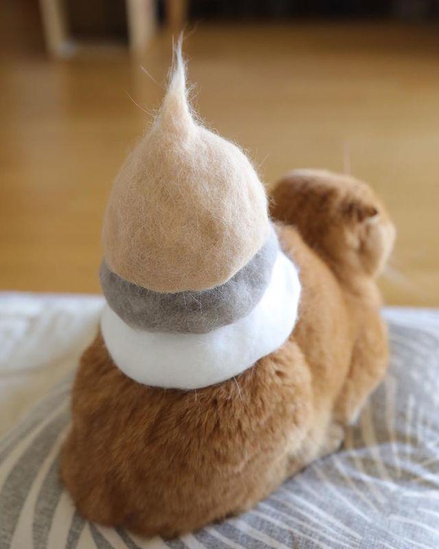 รูปภาพ:http://static.boredpanda.com/blog/wp-content/uploads/2016/11/Cats-in-hats-made-from-their-own-hair-582ebf411c7de__880.jpg