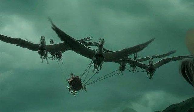 รูปภาพ:http://vignette4.wikia.nocookie.net/harrypotter/images/a/a9/Beauxbatons_carriage_GOF_1.jpg