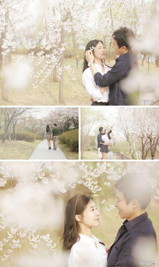 รูปภาพ:https://wp.onethreeonefour.com/wp-content/uploads/2016/01/Korea-Cherry-Blossoms-Seonyundo-Park-Skydal-Photography-OneThreeOneFour.jpg