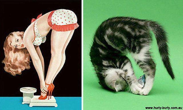 รูปภาพ:http://static.boredpanda.com/blog/wp-content/uploads/2016/12/cats-vintage-pin-up-girls-20-586666f281ab3__700.jpg