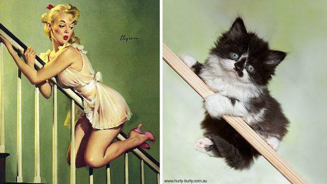 รูปภาพ:http://static.boredpanda.com/blog/wp-content/uploads/2016/12/cats-vintage-pin-up-girls-39-5866671865783__700.jpg