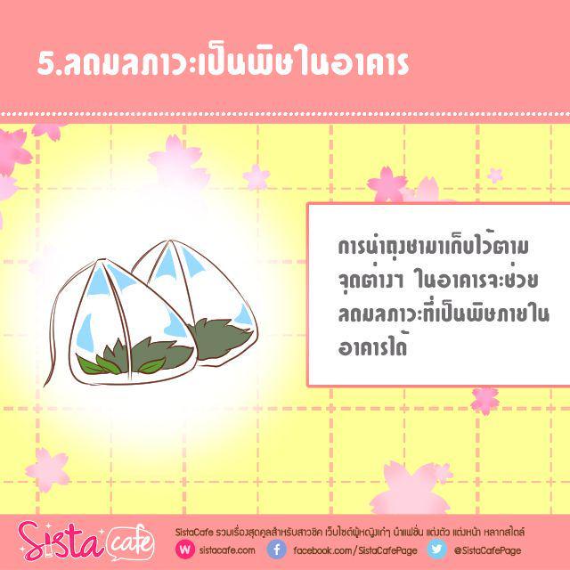 รูปภาพ: