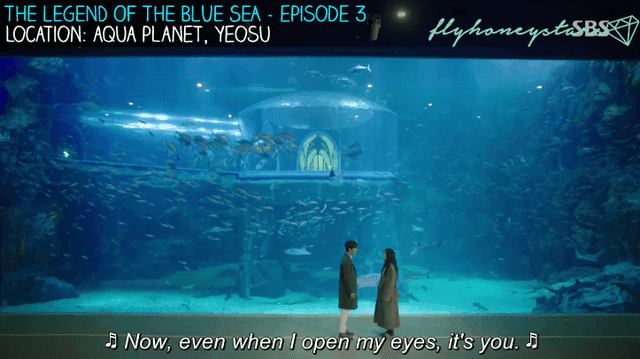 รูปภาพ:http://www.flyhoneystars.com/wp-content/uploads/2016/11/legend-of-blue-sea-aquaplanet-yeosu.png