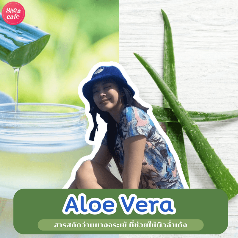 ตัวอย่าง ภาพหน้าปก:Aloe Vera มารู้จักกับสารสกัดว่านหางจระเข้ ตัวช่วยผิวฉ่ำเด้ง ไม่ไหม้แดด