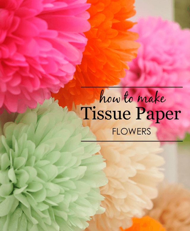 รูปภาพ:http://projectnursery.com/wp-content/uploads/2014/04/how-to-make-tissue-paper-flowers.png