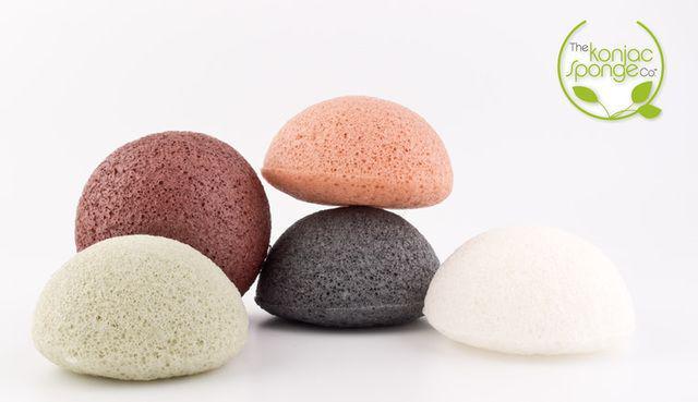 รูปภาพ:http://glamorganicgoddess.com/wp-content/uploads/2013/09/Facial-Konjac-Sponges.jpg