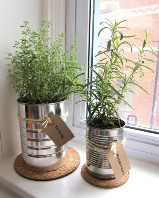 รูปภาพ:http://www.inspirationluv.com/wp-content/uploads/2015/05/DIY-Indoor-Herb-Garden1.jpg