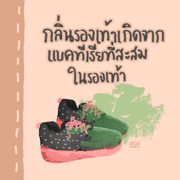 รูปภาพ: