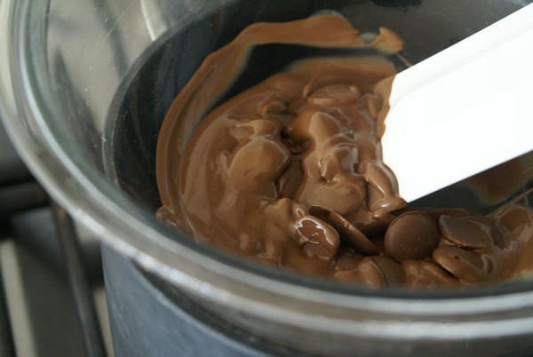 รูปภาพ:http://www.pastrypal.com/wp-content/uploads/2009/08/milk-chocolate-caramel-mousse-chocolate-melting.jpg