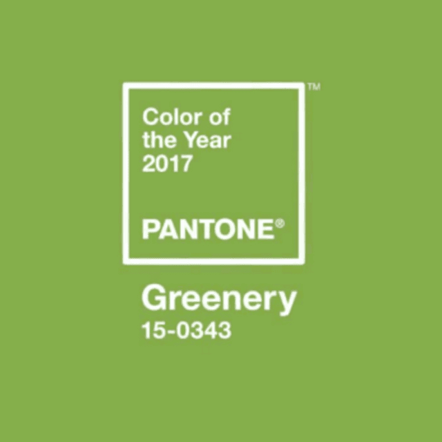 ภาพประกอบบทความ รวม 30 แฟชั่นโทนสีเขียว "Greenery" สีประจำปี 2017 ไม่ใส่ก็เอ้าท์สิจ๊ะ!