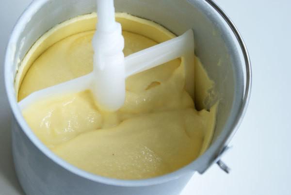 รูปภาพ:http://www.pastrypal.com/wp-content/uploads/2009/07/ginger-ice-cream-spun.jpg