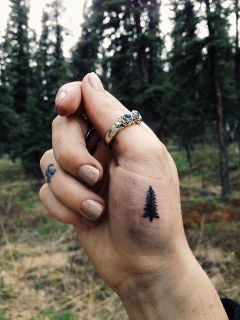 รูปภาพ:https://hips.hearstapps.com/cos.h-cdn.co/assets/15/33/640x853/1439476895-1436381724-christmas-tree-liltats.jpg?resize=480:*