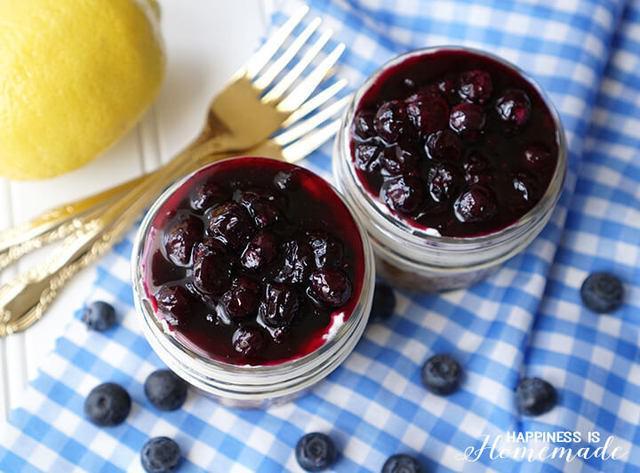 รูปภาพ:http://cf.happinessishomemade.net/wp-content/uploads/2016/05/No-Bake-Blueberry-Cheesecake-Jars-are-Perfect-for-Picnics.jpg