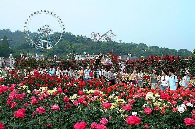 รูปภาพ:http://sports.chosun.com/news/life/200405/20040520/45t70001.jpg