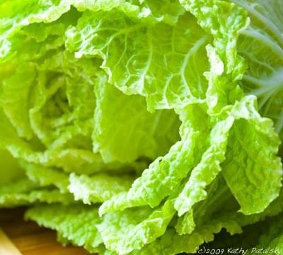 รูปภาพ:http://4.bp.blogspot.com/_Dwex9AQ8IuA/SgrnQgEZnUI/AAAAAAAAFsc/Z5gJ2uRAX3Y/s400/NAPA-CABBAGE-400-1.jpg