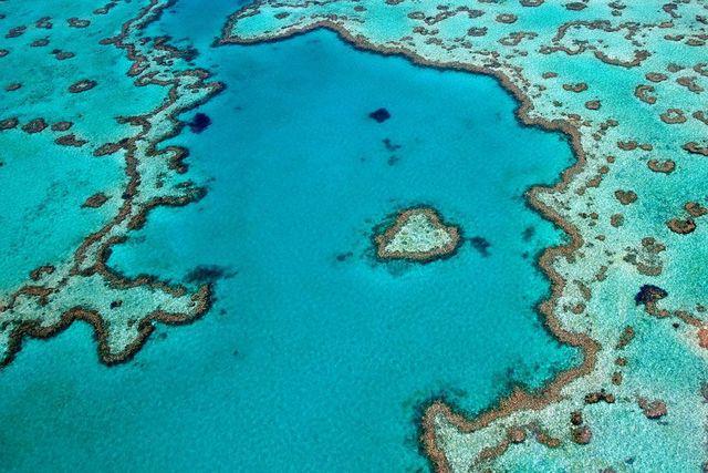 รูปภาพ:https://media.mnn.com/assets/images/2017/02/Heart-Reef-Great-Barrier-Reef-Australia-Aerial.jpg.1000x0_q80_crop-smart.jpg
